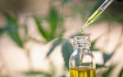 Selling CBD Online: A Quick Guide