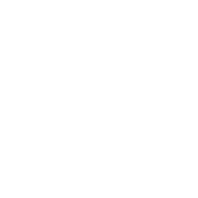 Shopping Cart White Icon