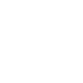 Icon - Shopping Cart Shopping Cart White Icon