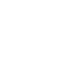 Icon - Warehouse Warehouse White Icon