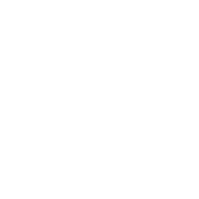 Warehouse White Icon