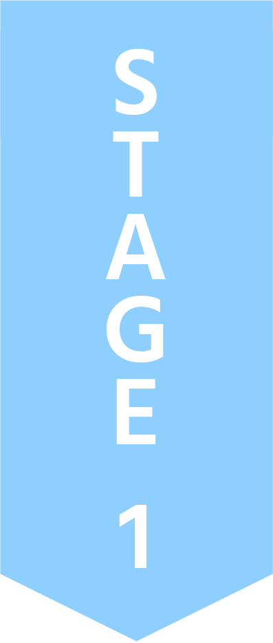 Stage 1 Stage 1 flow chart arrow