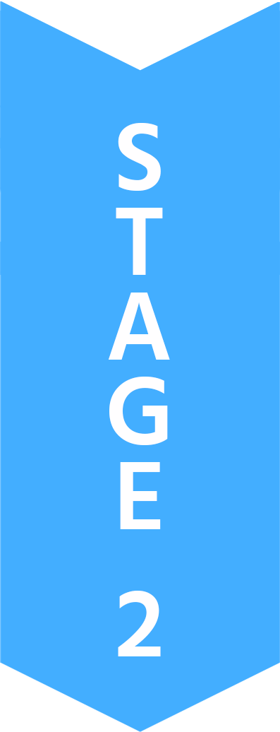 Stage 2 Stage 2 flow chart arrow