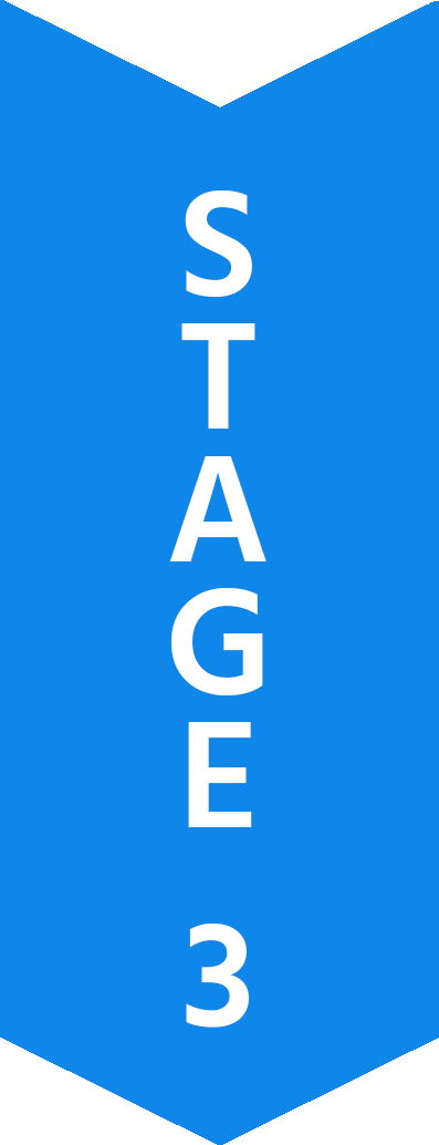 Stage 3 Stage 3 flow chart arrow