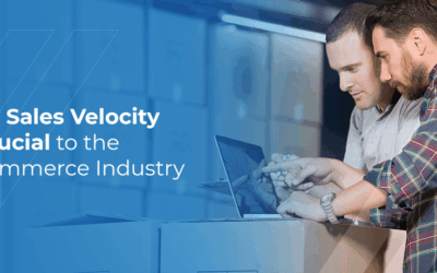 The E-Commerce Industry & Sales Velocity | Finale Inventory