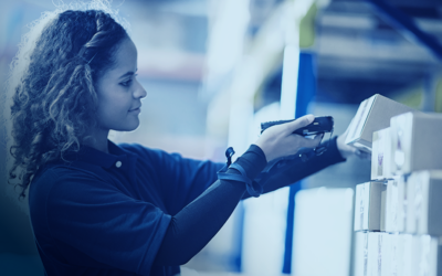 What Is The Difference Between Lots and Serial Numbers?