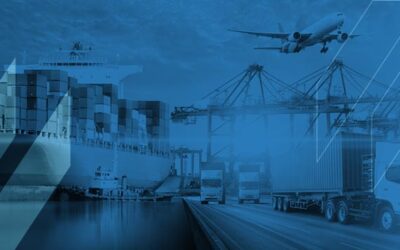 Everything You Need to Know About the Bullwhip Effect