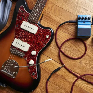 Elderly Instruments, case study
