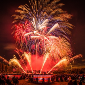 Love Fireworks, case study