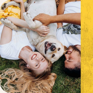 HomeLife Media, Case Study