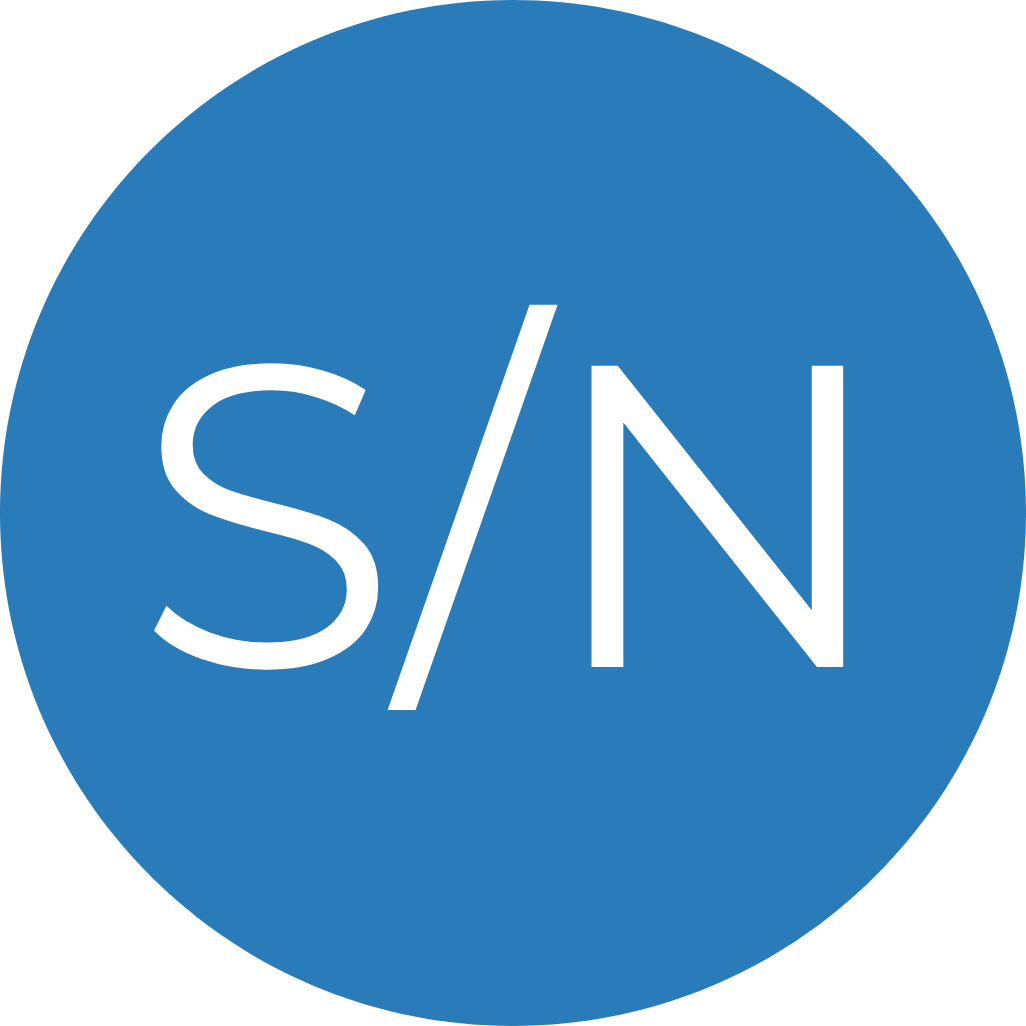SN serial number icon