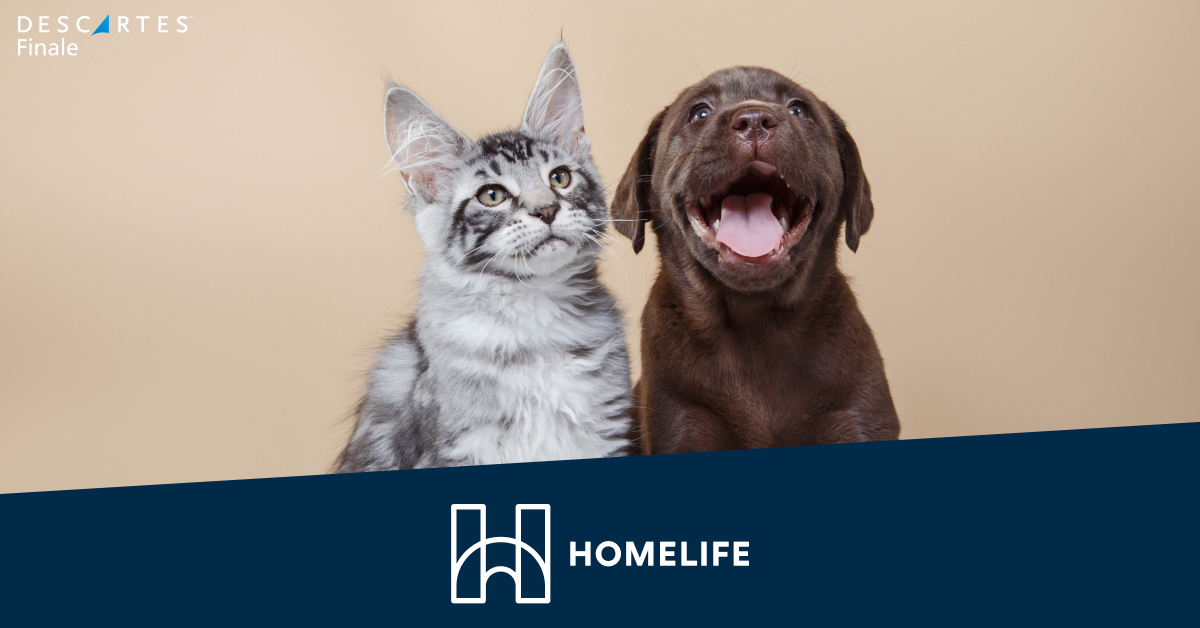 HomeLife Media Success Story